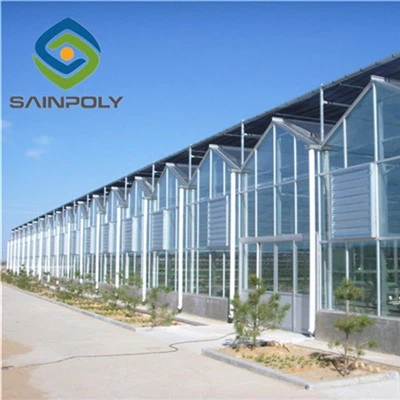 오이 유리 온실