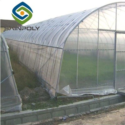 토마토 하이 터널 온실