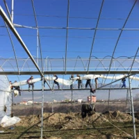 UV Protected Plastic Film Greenhouse